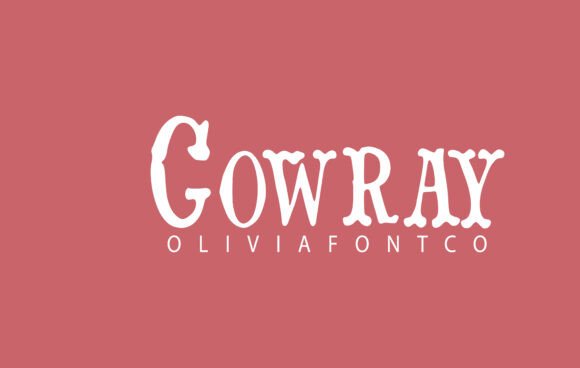 Cowray Reviewed: A Designer’s Notes for Real Projects