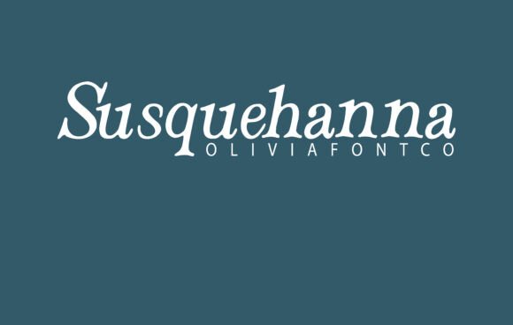 Susquehanna: A Designer's Honest Review for Real Projects