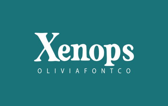 Xenops: A Handwritten Serif Font That Brought Warmth to a Boutique Website Redesign